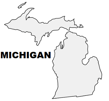 Michigan Stun Gun and TASER Laws